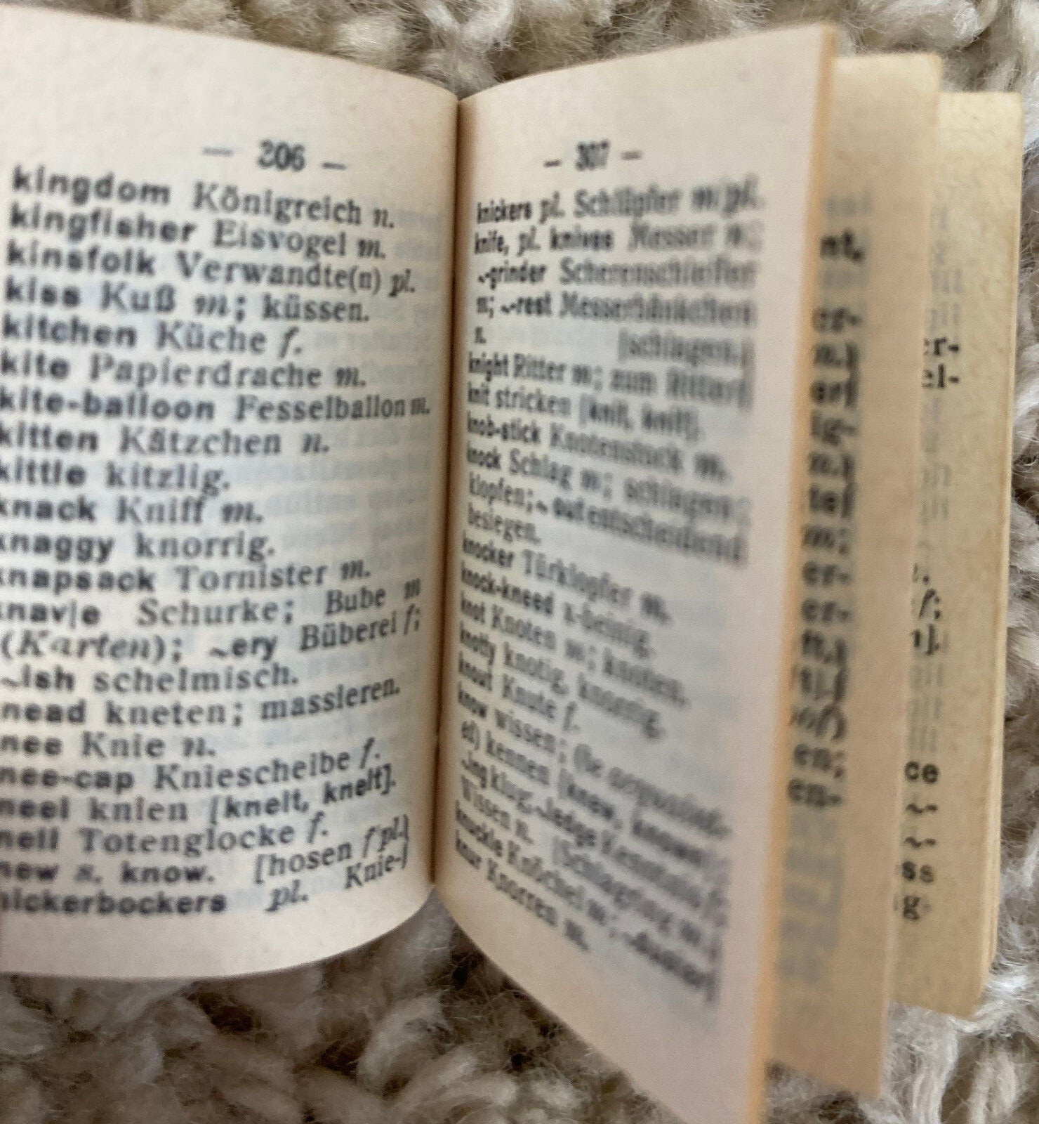 Langenscheidt's Lilliput Dictionary German English German