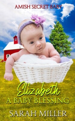Miller - Elizabeth - A Baby Blessing - New paperback or softback - X555z