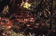 Sl57  Original Slide 1970's  Hawaii  Wailua river state park fern grotto 398