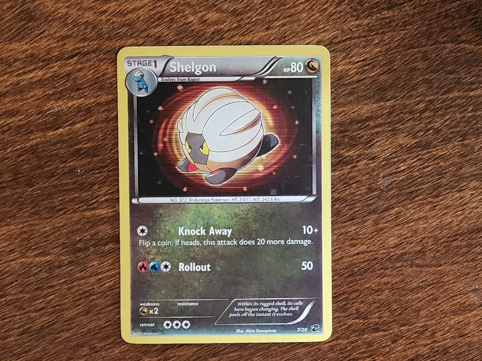 Shelgon 7/20 Black & White: Dragon Vault Holo NM: Pokémon TCG