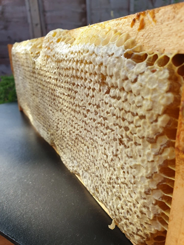 Raw Honeycomb Full Frame (2.3kg ) 2025 NEW HARVEST - ORGANIC HONEY- Acacia - Image 3 of 4