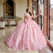 Pink Quinceanera Dresses Ball Gown 3D Floral Applique Beading Corset Sweet 16