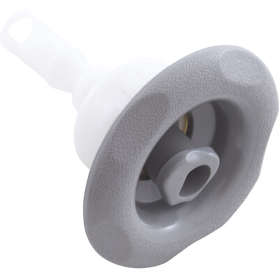 JACUZZI  | Cyclone Micro Jet Roto Nozzle 3'' Face Gray 2540-365