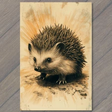 Art Print Curious Hedgehog Face In Dirt Adorable Nature Animal Whimsical Cute