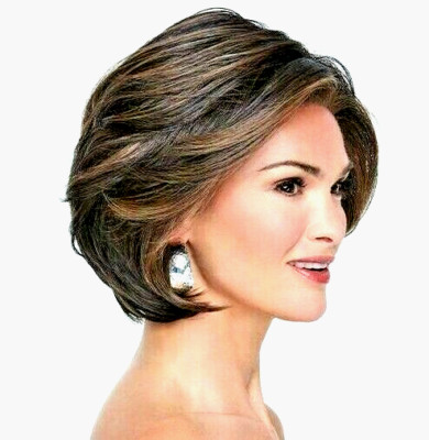 IN CHARGE WIG-Raquel Welch 4/10SS ShadedIced Java HeatOKLaceFrontMonoPt Reg$395