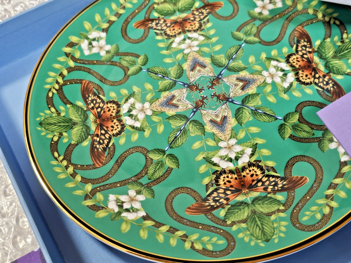 WEDGWOOD WONDERLUST Emerald Forest Plate 20cm 7.8in 035667 NIB | eBay