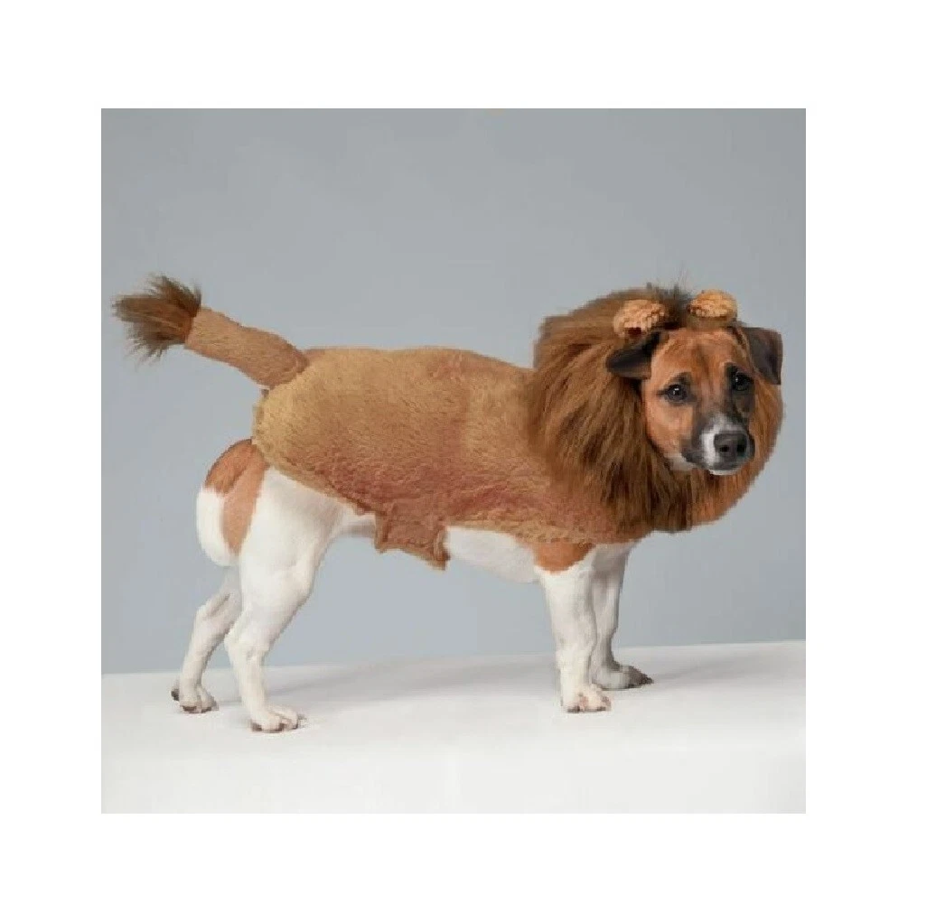 Lion guard dog sales