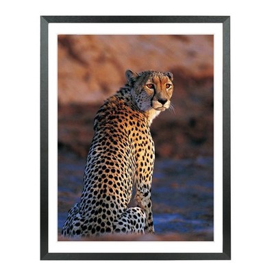 17x24 Picture Frames Solid wood,Display Pictures 15x22 Inch With Mat or 17x24...