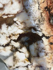 Rare Nevada Desert Fire Jasper Slab, Lot#190