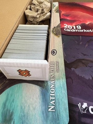Zendikar Rising nearFull Set Sammlung inkl Ordner Agadeem`s, Valakut, Pathway DE