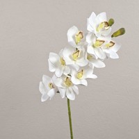 Artplants Deko Zweig Cymbidium Orchidee Lanakila, Weiß, 75Cm