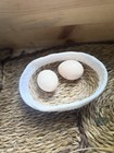 🐣 6 Fresh & Fertile Jubilee Orpington Hatching Eggs 🐣 — photo 4