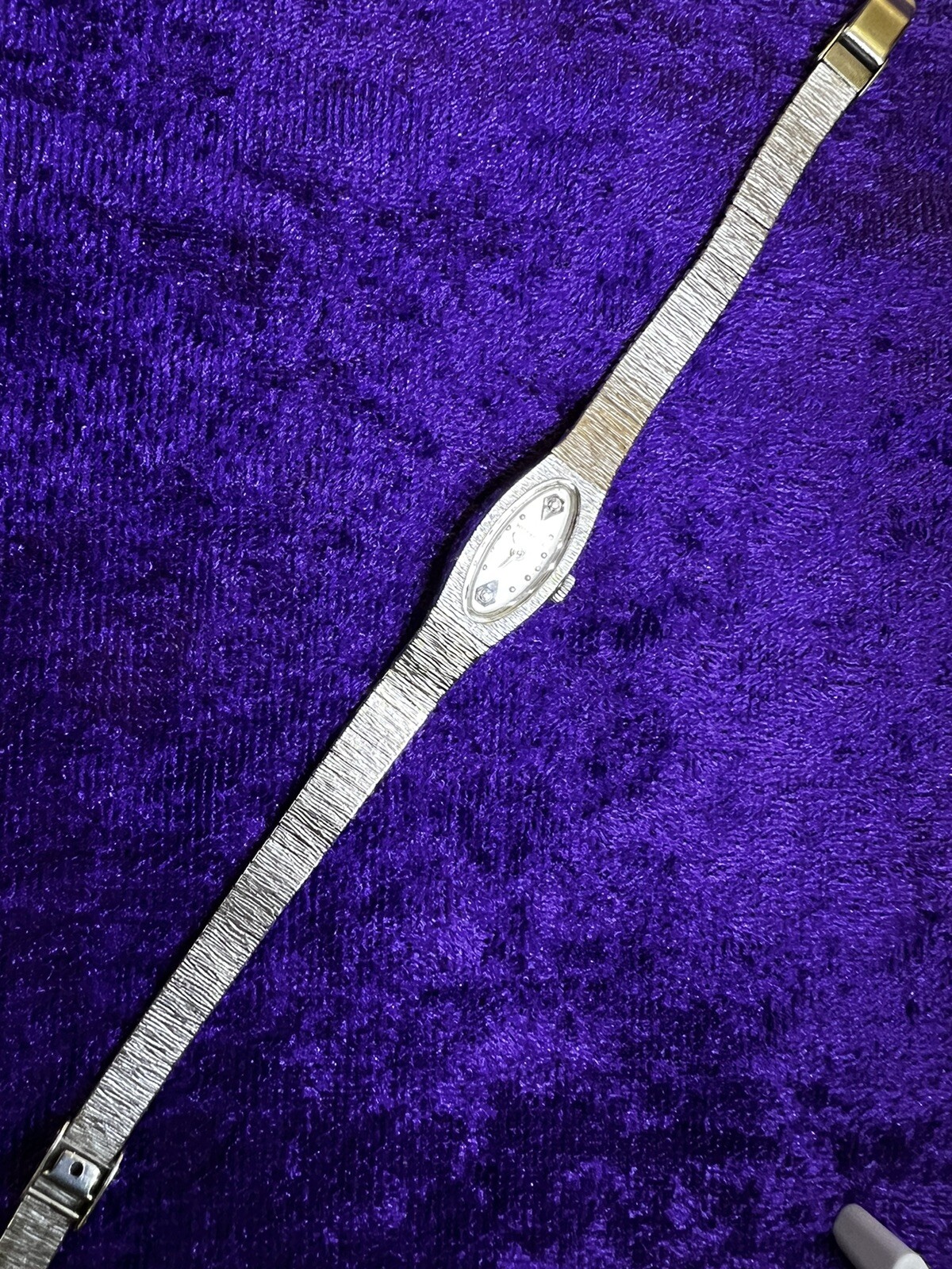 Picture 5 of 15