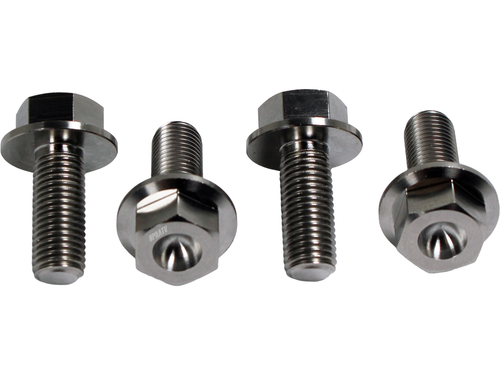 Banshee Foot Peg Bolts TITANIUM Banshee 350 Pegs Flange HEX Bolts 95817-10025-00 - Picture 4 of 20