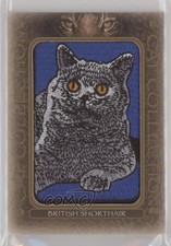 2026 Upper Deck Feline Collection Guide in-content 19