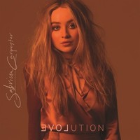 Carpenter - Evolution - Vinyl Record - F99Z