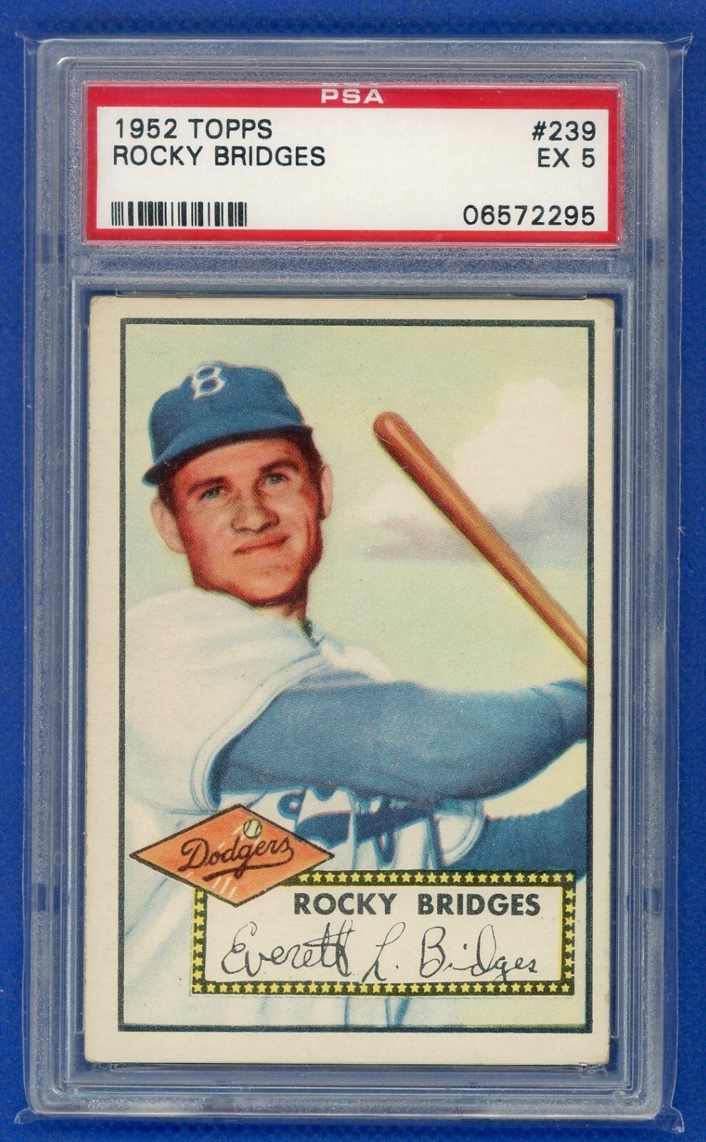 1952 Topps #239 Rocky Bridges PSA 5 RC Rookie Dodgers