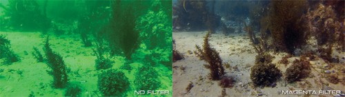 Polar Pro GoPro HERO 3 3+ 4 5 60m Magenta Iridium Aqua3 Filter (P1010) - NEW! - Picture 8 of 9