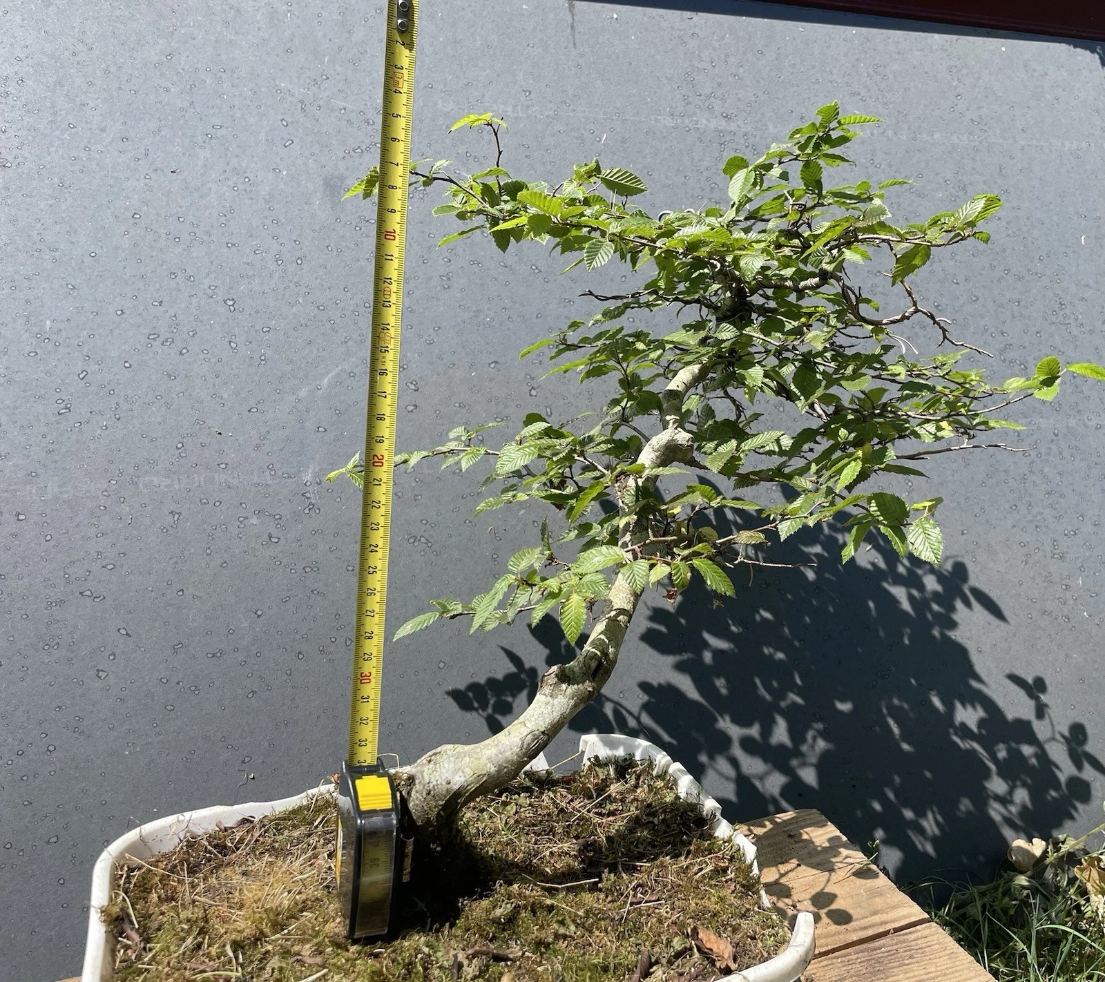 Photo 2/7