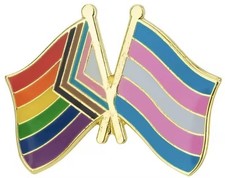 LGBTQ Gay Rainbow Pride Progress Rights Trans Transgender Flag Crossed Flags Pin