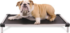Chew Proof Elevated Cooling Outdoor Cot Bed for Small Dogs  Puppies - Virtually