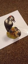 Bird Ornaments Royal Worcester 8 In Total In Good Condition