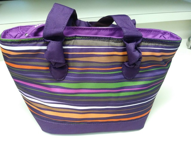 rachel ray lunch box