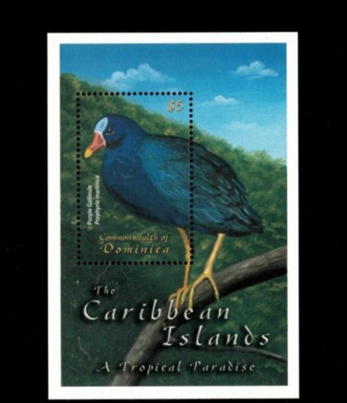 VINTAGE CLASSICS - Dominica 2001 - Birds - Souvenir Stamp Sheet- Scott 2315- MNH