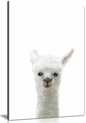 Gerahmtes Leinwandbild Lama, Bilder für Wohnwände Deko