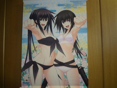 Tapestry Majikoi! Love Me Seriously! Momoyo Kawakami Tsubame Matsunaga