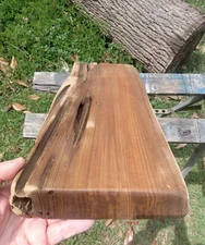 2" THICK Quartersawn AND  Pecky REAL Sinker Cypress Wood Plank Shelf Returns OK!