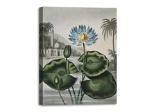 Quadro stampa su tela con vernice effetto dipinto - x