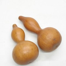 VINTAGE AFRIKANISCHE MUSIKINSTRUMENTENSTREUER MARACAS OBST/GEM&Uuml;SESAMEN GETROCKNET