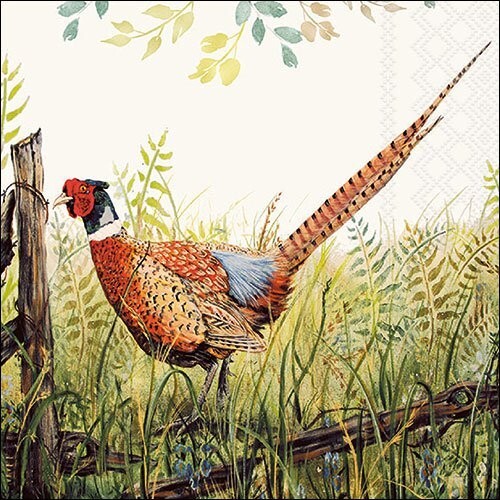 4 x Paper Napkin/3Ply/33cm/Decoupage/Bird/ Colourful Pheasant in the Countryside