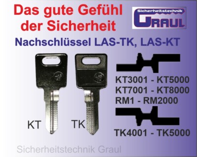 Nachschlüssel Ronis, LAS-KT, LAS-TK für Hebelzylinder, Bestellung nach Code