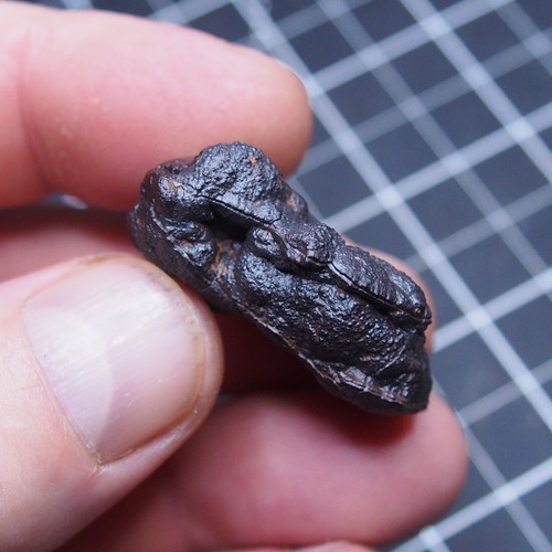 39mm Ammonite Hematite Morocco Jurassic Fossil Ammoniten 190 - Picture 8 of 16