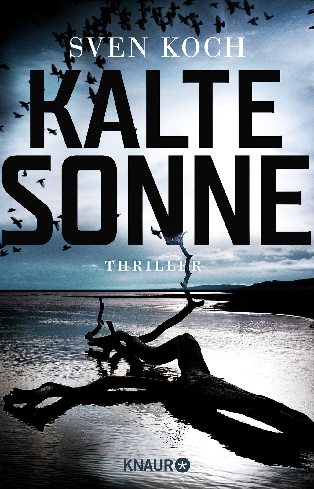 Thumbnail - Sven Koch / Kalte Sonne