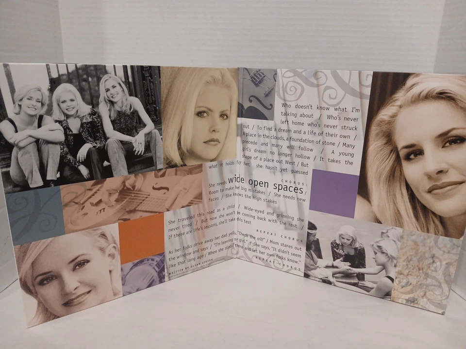 Dixie Chicks WIDE OPEN SPACES BLACK VINYL RECORD LP — 第 3/4 张图片
