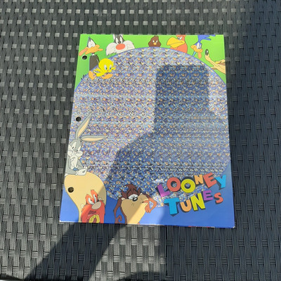 Vintage 1994 Looney Tunes Magic Eye Portfolio Folder Tweety Sylvester Daffy