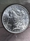 1884 O   Morgan Dollar  CH BU +   Beautiful Dollars starting at $66