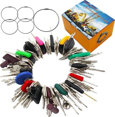 100PCS Master Plant Set Universal Dumper Maschine Ersatz Zündschlüssel Set