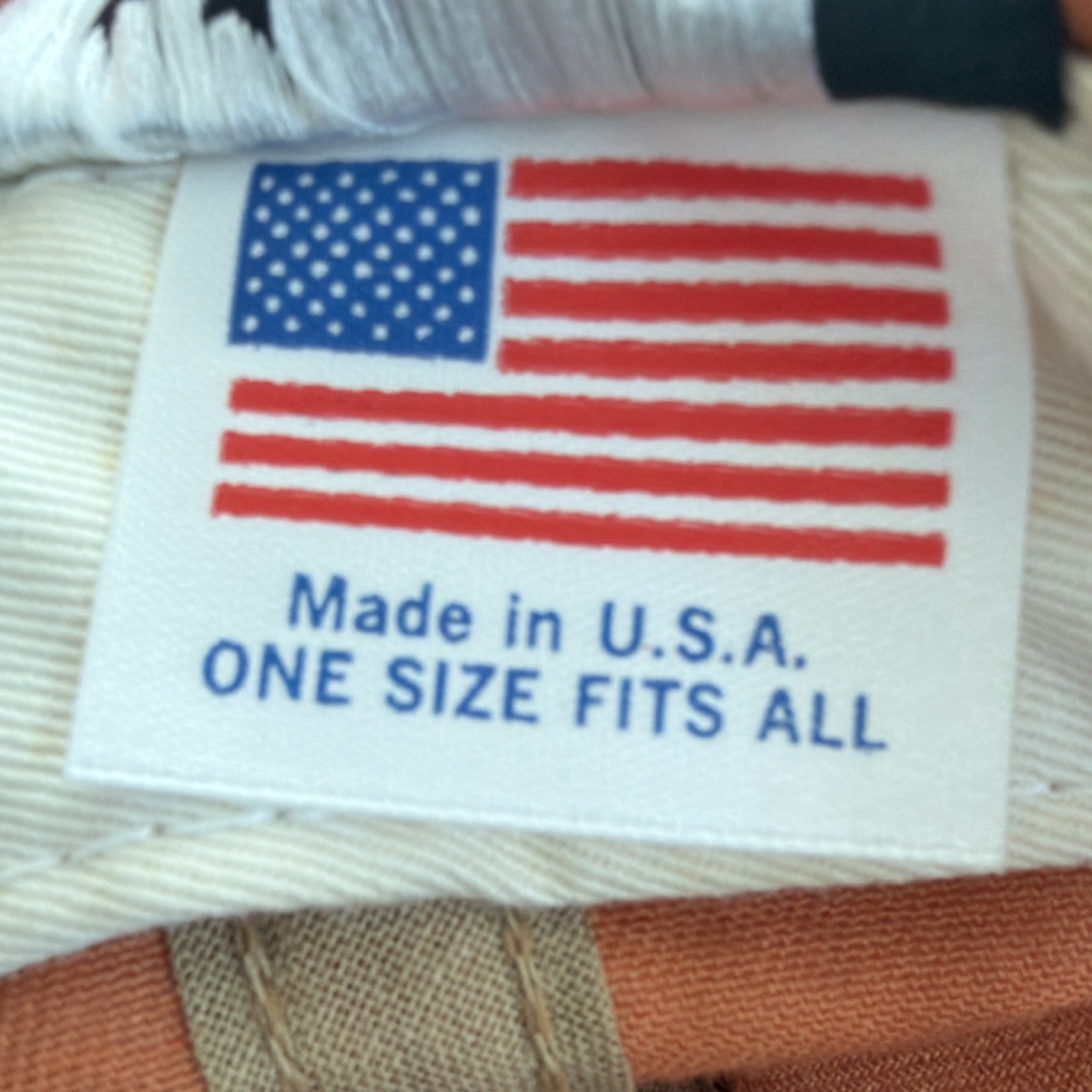 Freshjive Brown Multi-Color Adjustable Snapback H… - image 6