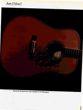 POT7 BILD/ANZEIGE 11X16 LARRIVEE MODELL D-60 PALISANDER GITARRE