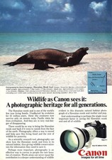 1982 Canon Camera: Hawaiian Monk Seal Vintage Print Ad