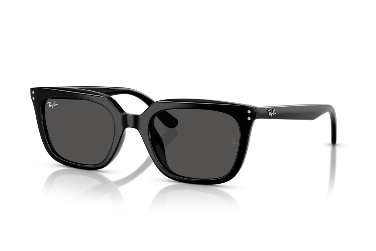 Brand New 2025 Ray Ban Sunglasses RB 4439D 901/87 Authentic Brand New 2025 Ray Ban Sunglasses RB 4439D 901/87 Authentic