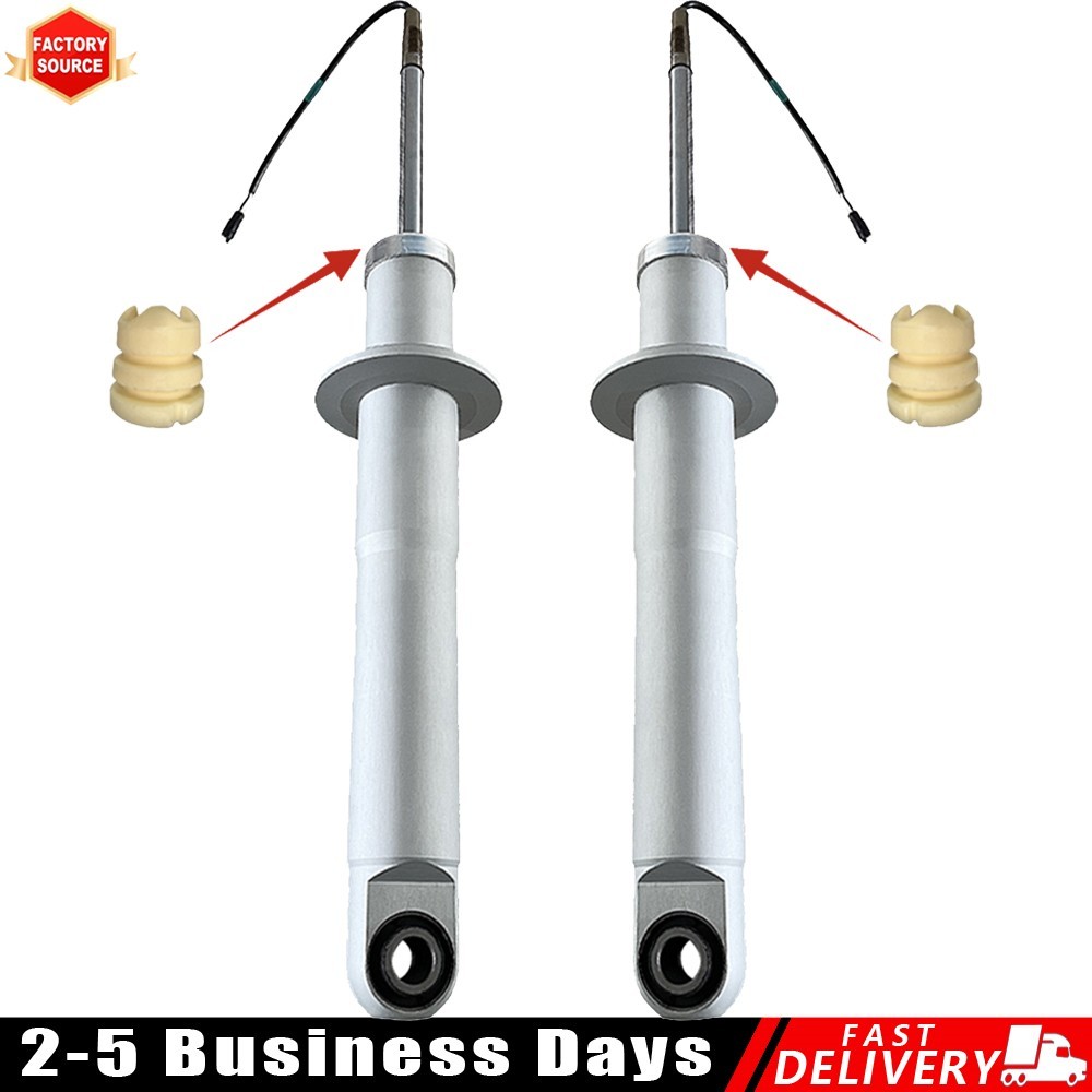Rear Shock Absorbers For Maserati Quattroporte M139 Sport Gt Skyhook 06-2011