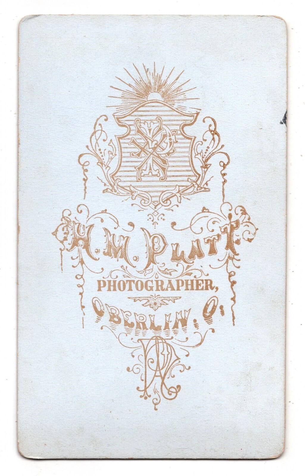 Antique CDV Circa 1880s H. M. Platt Old Lady In Elegant Dark Dress Oberlin OH thumbnail 2