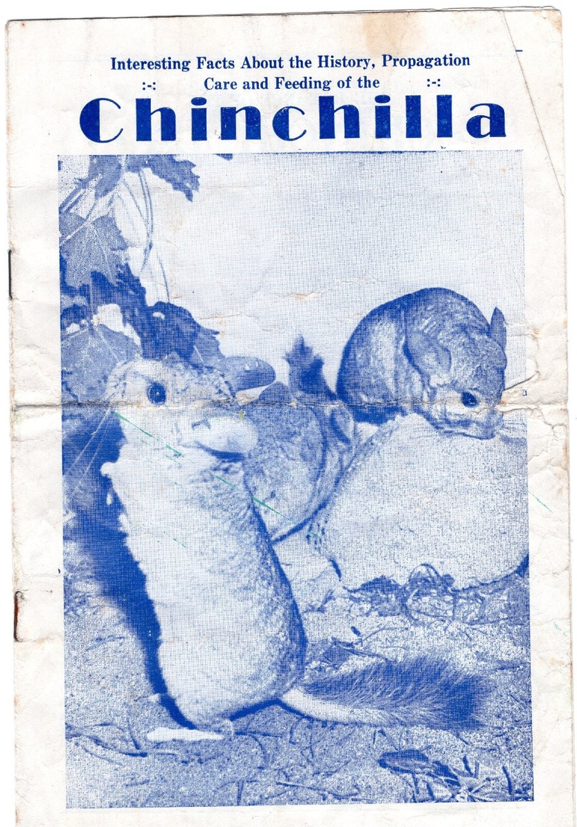 Chinchilla Care Guide-Chapman Chinchilla Sales, Smith Falls, ON