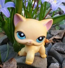 Littlest Pet Shop LPS Shorthair Cat 339 Who Love LPS Great Gifts Rare