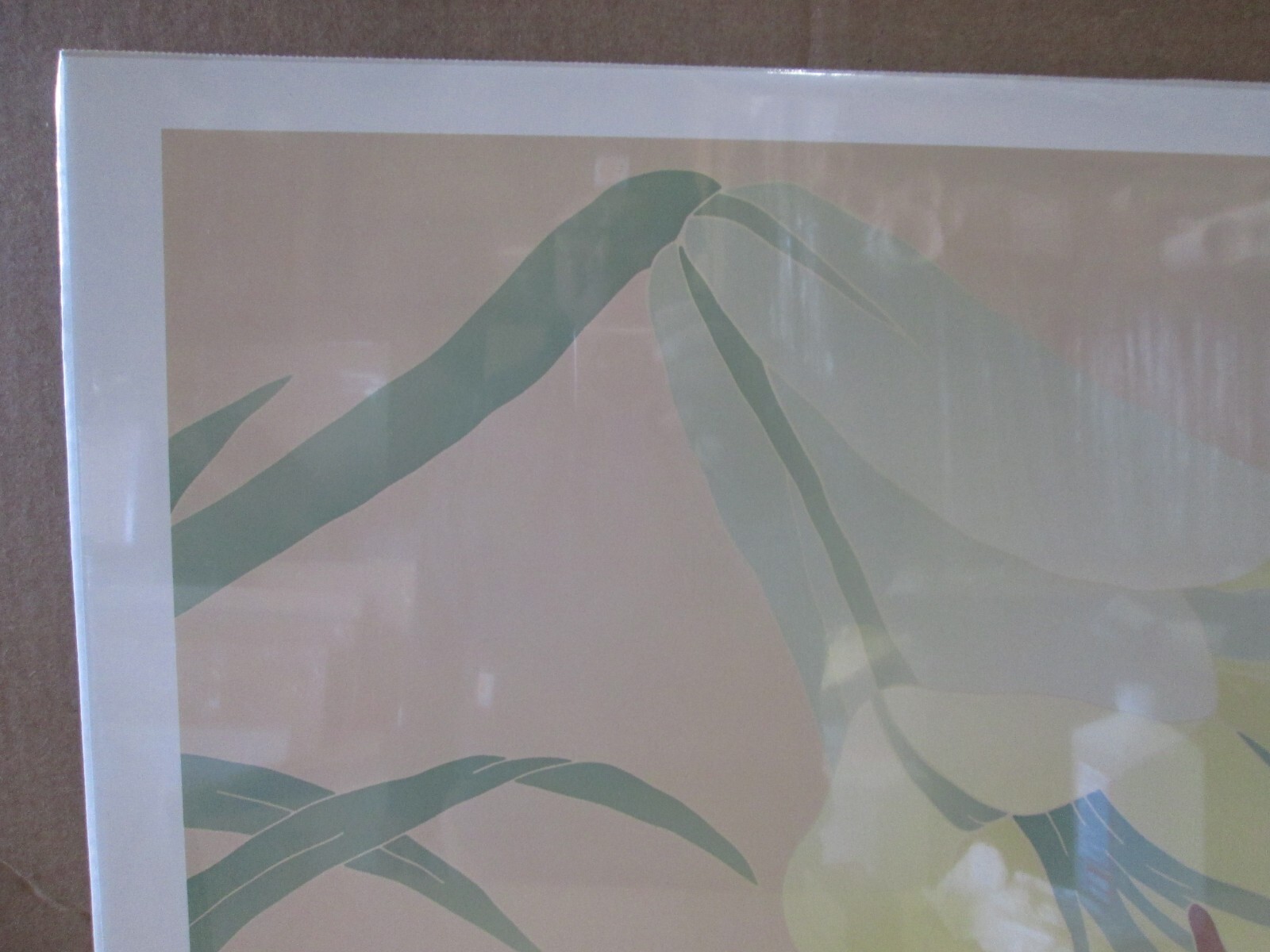 Picture 3 of 5